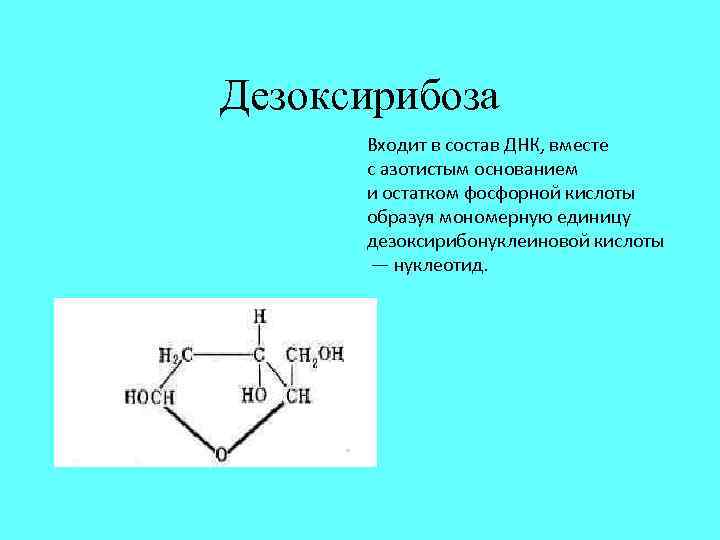 В состав днк не входит. Биологические функции дезоксирибозы. Дезоксирибоза входит в состав ДНК. Дезоксирибоза функции. Дезоксирибоза биологическая роль.