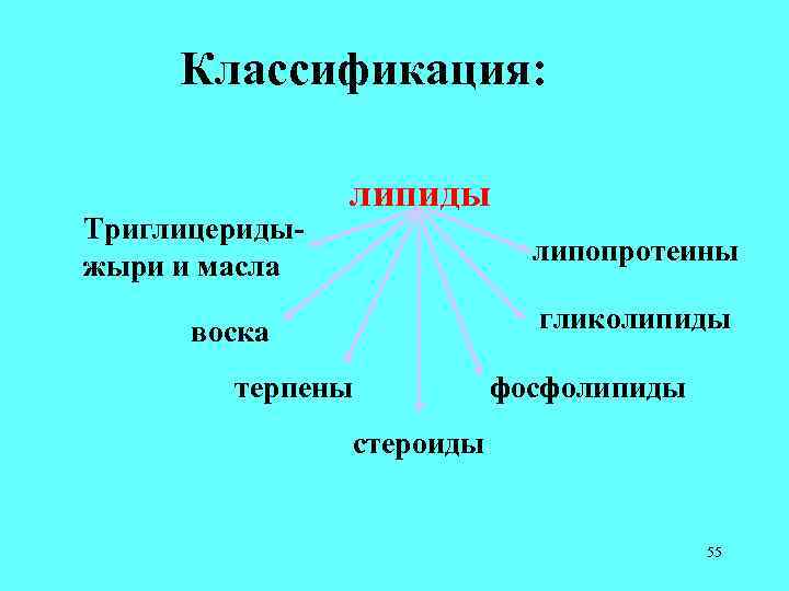 Классификация: Триглицеридыжыри и масла липиды липопротеины гликолипиды воска терпены фосфолипиды стероиды 55 