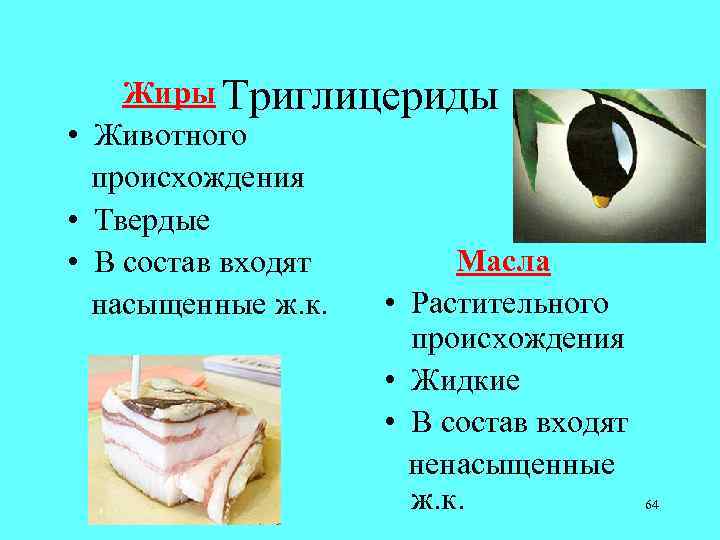  Жиры Триглицериды • Животного происхождения • Твердые Масла • В состав входят •