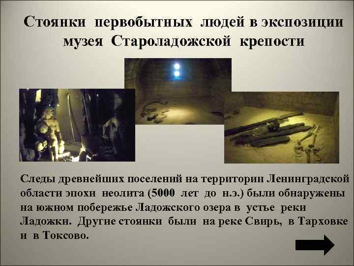 Стоянки первобытных людей в экспозиции музея Староладожской крепости Следы древнейших поселений на территории Ленинградской