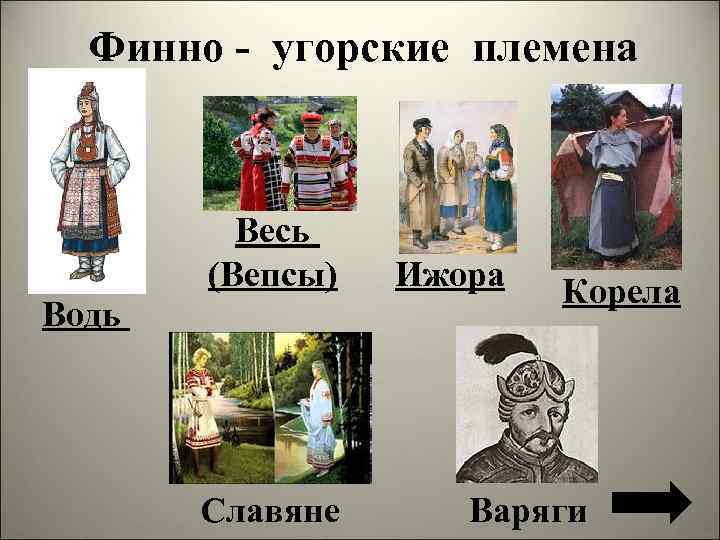 Финно - угорские племена Весь (Вепсы) Водь Славяне Ижора Корела Варяги 