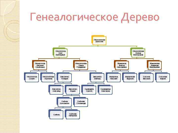 Генеалогическое Дерево Немолочнова Кристина Немолочнов Олег Евгеньевич Немолочнова Елена Викторовна Немолочнов Евгений Семёнович Немолочнов