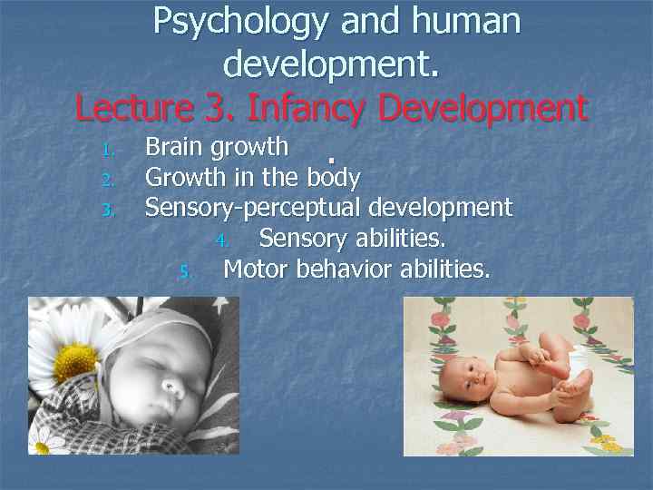 Psychology and human development. Lecture 3. Infancy Development 1. Brain growth. 2. 3. Growth