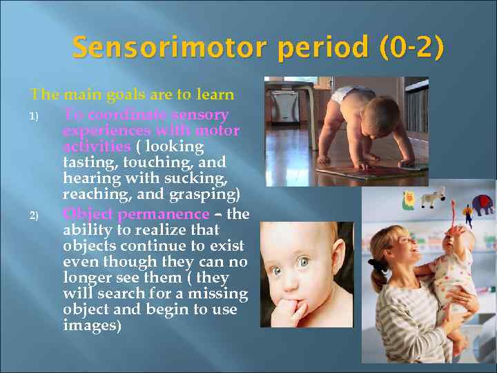 Sensorimotor period (0 -2) The main goals are to learn 1) To coordinate sensory