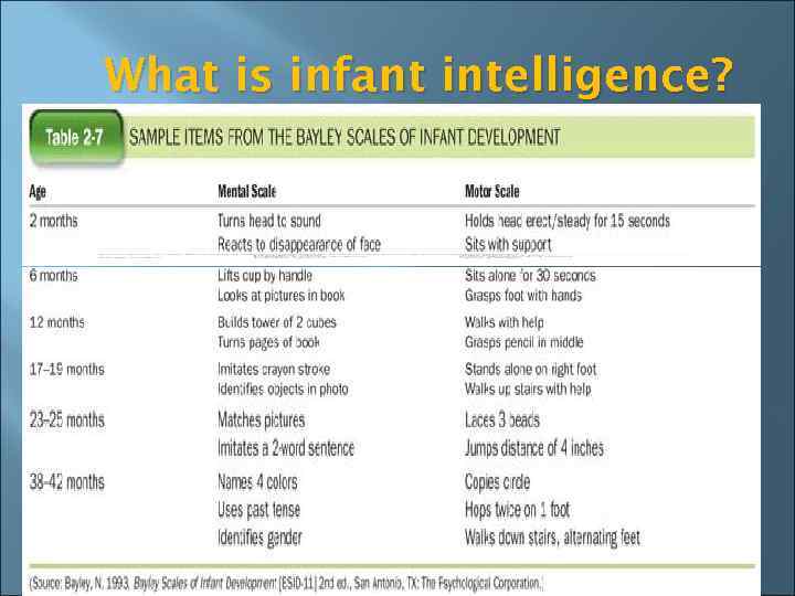 What is infant intelligence? 