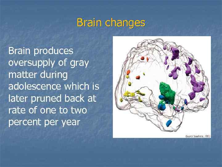 Brain changes Brain produces oversupply of gray matter during adolescence which is later pruned