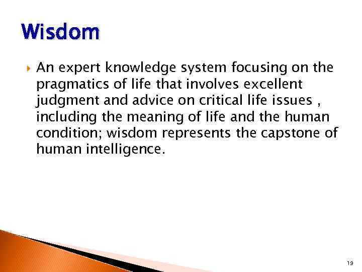 Wisdom An expert knowledge system focusing on the pragmatics of life that involves excellent