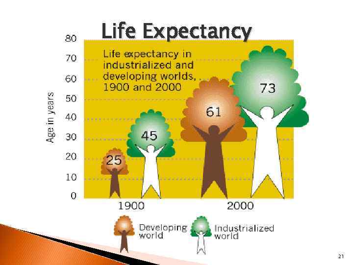 Life Expectancy 21 