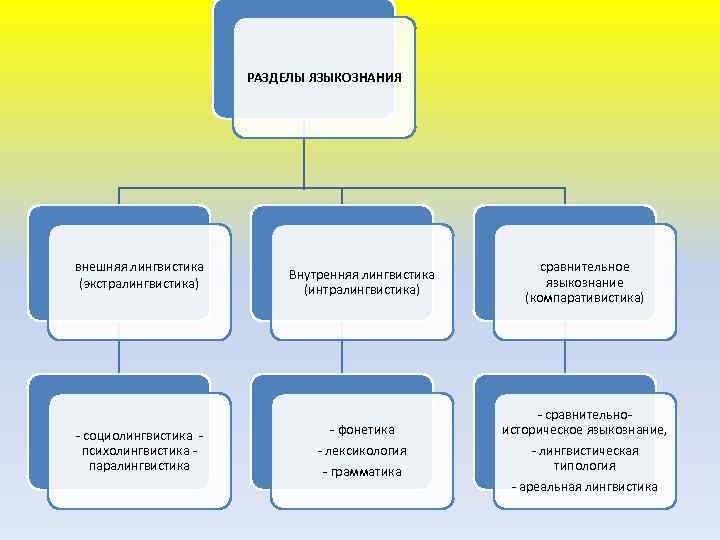 Разделы языкознания