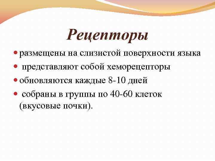 Рецепторы размещены на слизистой поверхности языка представляют собой хеморецепторы обновляются каждые 8 -10 дней