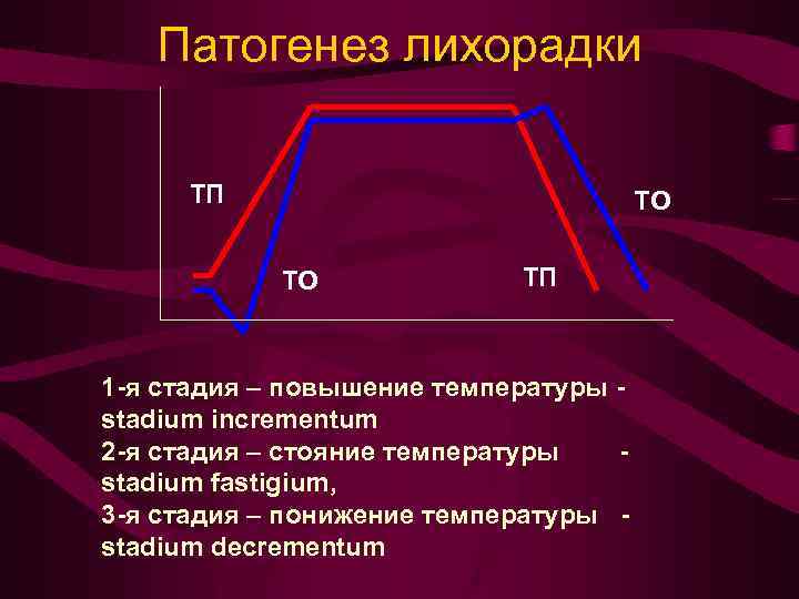 Патогенез лихорадки ТП ТО ТО ТП 1 -я стадия – повышение температуры stadium incrementum