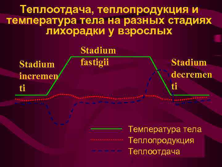 Теплоотдача, теплопродукция и температура тела на разных стадиях лихорадки у взрослых Stadium incremen ti