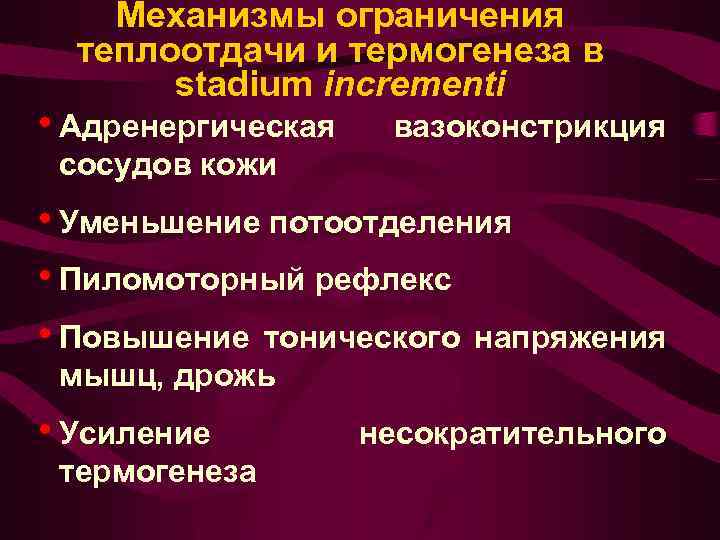 Механизмы ограничения теплоотдачи и термогенеза в stadium incrementi • Адренергическая вазоконстрикция сосудов кожи •