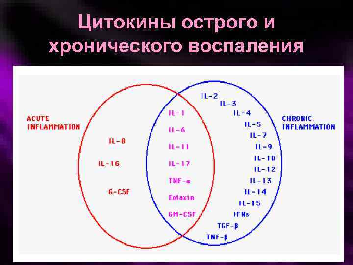 Цитокины острого и хронического воспаления 