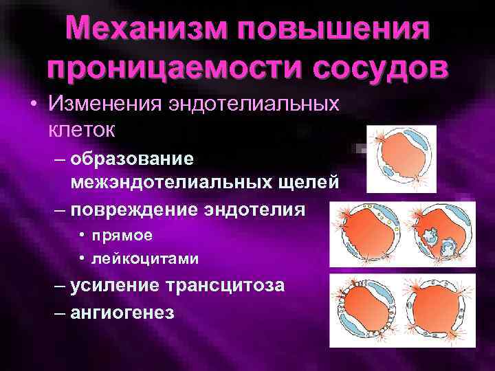 Повышение проницаемости сосудов. Механизмы повышения проницаемости. Механизм проницаемости сосудов.