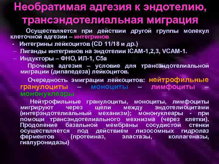 Необратимая адгезия к эндотелию, трансэндотелиальная миграция Осуществляется при действии другой группы молекул клеточной адгезии