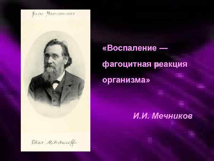  «Воспаление — фагоцитная реакция организма» И. И. Мечников 