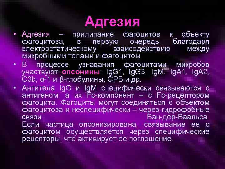 Адгезия • Адгезия – прилипание фагоцитов к объекту фагоцитоза, в первую очередь, благодаря электростатическому