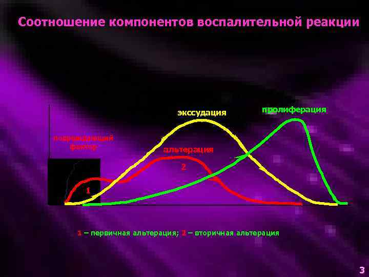 Соотношение компонентов воспалительной реакции экссудация повреждающий фактор пролиферация альтерация 2 1 1 – первичная