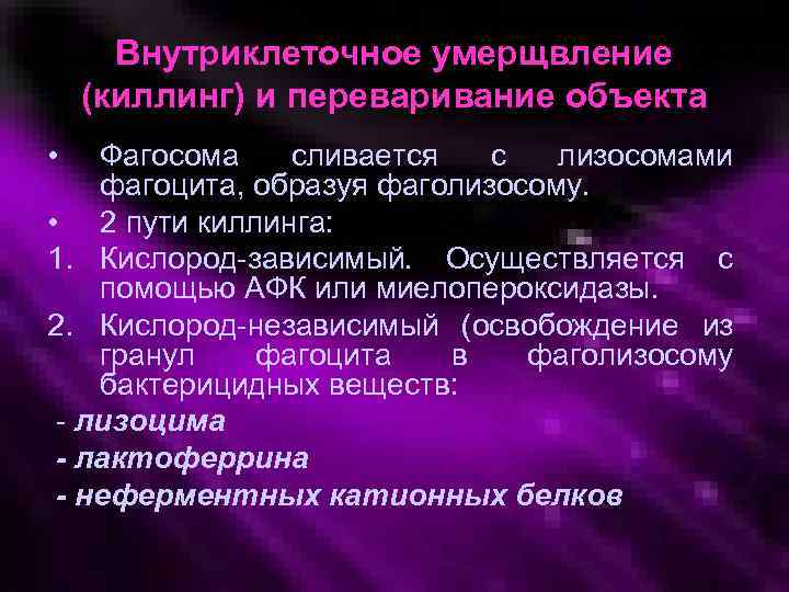 Внутриклеточное умерщвление (киллинг) и переваривание объекта • Фагосома сливается с лизосомами фагоцита, образуя фаголизосому.