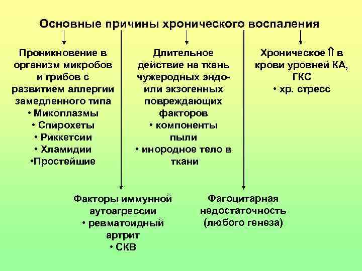 Основные причины хронического воспаления Проникновение в организм микробов и грибов с развитием аллергии замедленного