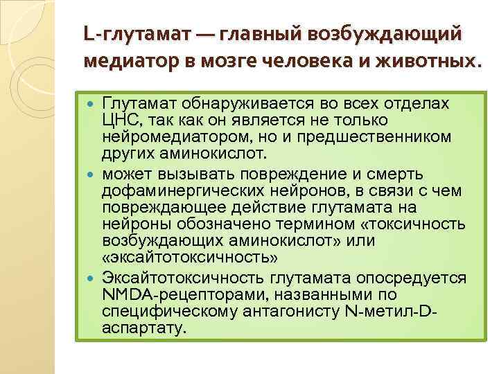 L-глутамат — главный возбуждающий медиатор в мозге человека и животных. Глутамат обнаруживается во всех