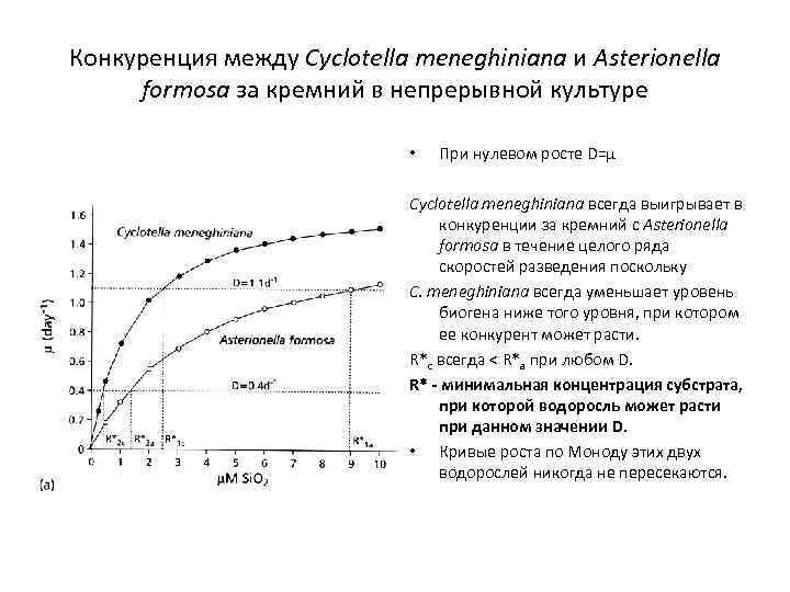 Конкуренция между Cyclotella meneghiniana и Asterionella formosa за кремний в непрерывной культуре • При