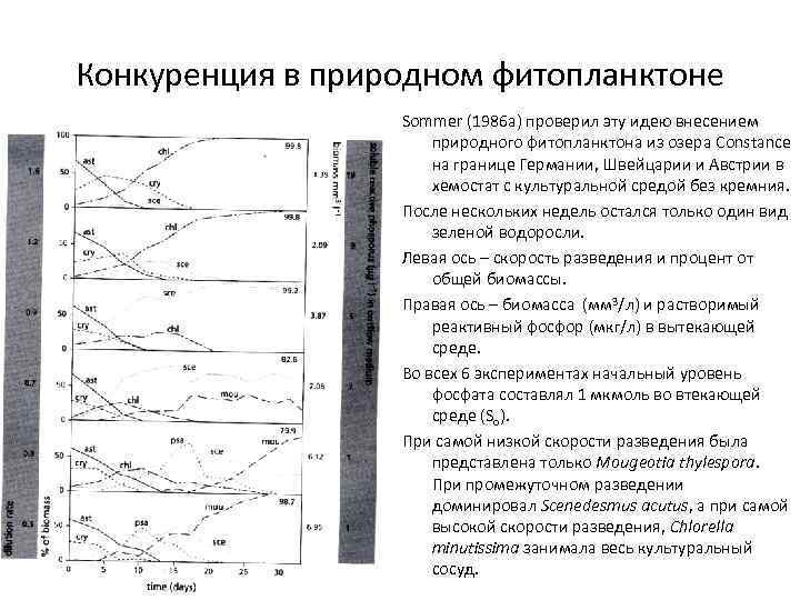 Конкуренция в природном фитопланктоне Sommer (1986 a) проверил эту идею внесением природного фитопланктона из