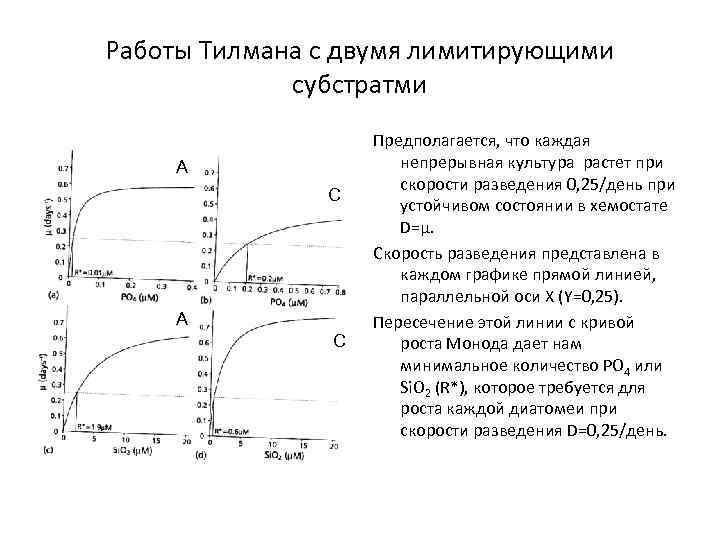 Работы Тилмана с двумя лимитирующими субстратми А С Предполагается, что каждая непрерывная культура растет