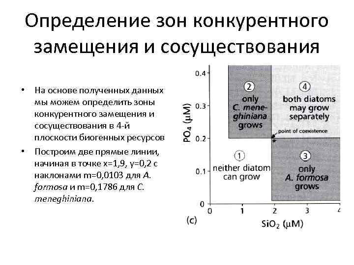 Определение зон конкурентного замещения и сосуществования • На основе полученных данных мы можем определить