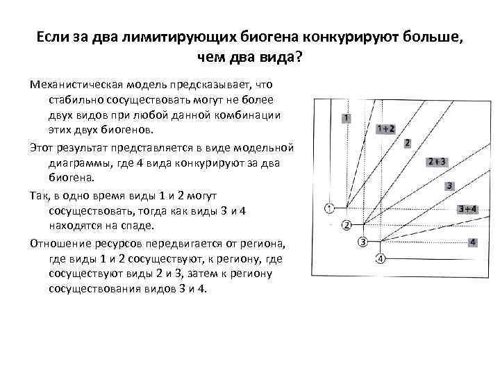 Если за два лимитирующих биогена конкурируют больше, чем два вида? Механистическая модель предсказывает, что