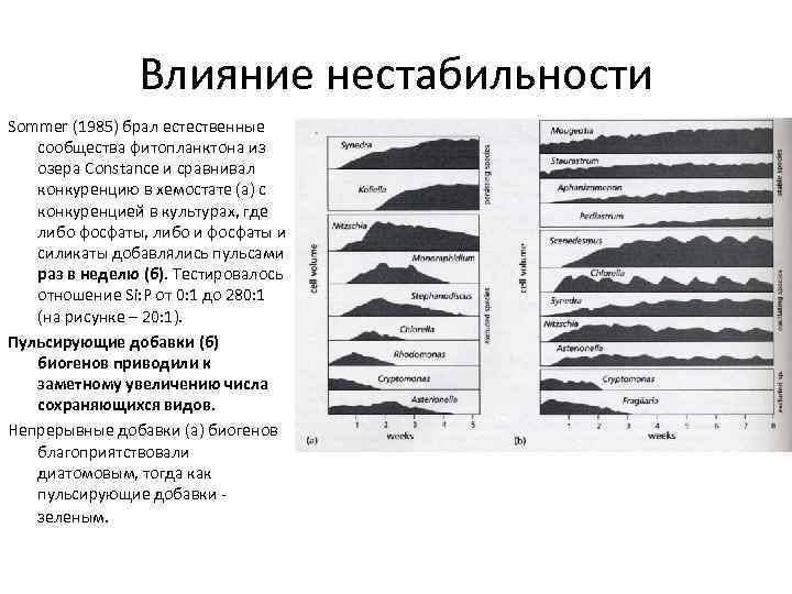 Влияние нестабильности Sommer (1985) брал естественные сообщества фитопланктона из озера Constance и сравнивал конкуренцию