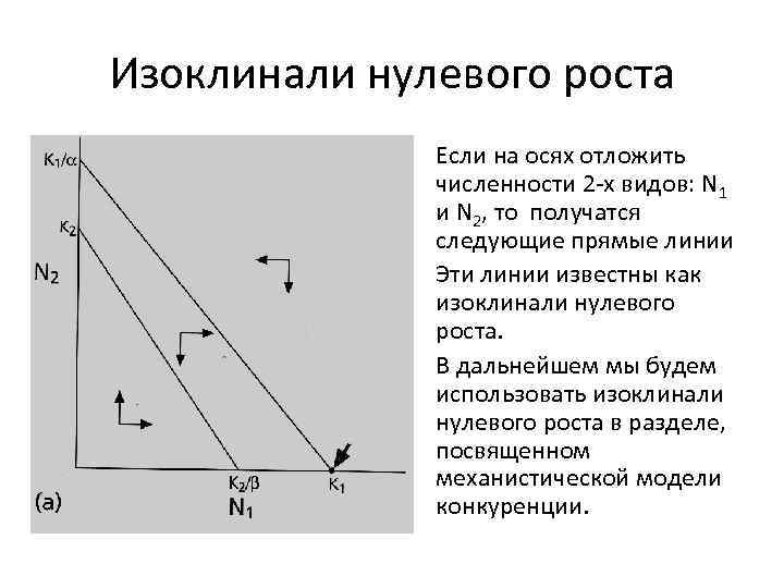 Изоклинали нулевого роста • Если на осях отложить численности 2 -х видов: N 1