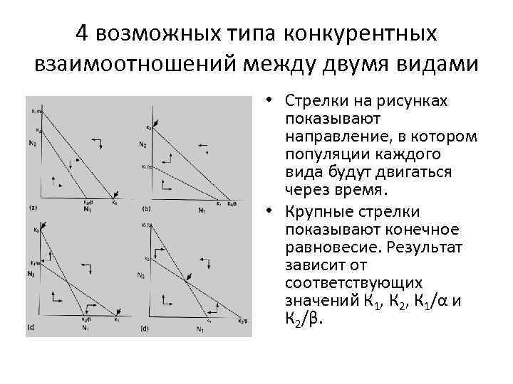 4 возможных типа конкурентных взаимоотношений между двумя видами • Стрелки на рисунках показывают направление,