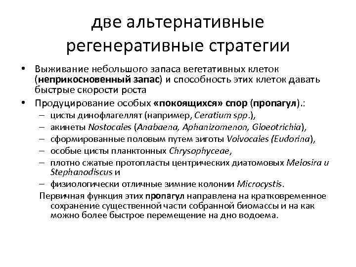 две альтернативные регенеративные стратегии • Выживание небольшого запаса вегетативных клеток (неприкосновенный запас) и способность