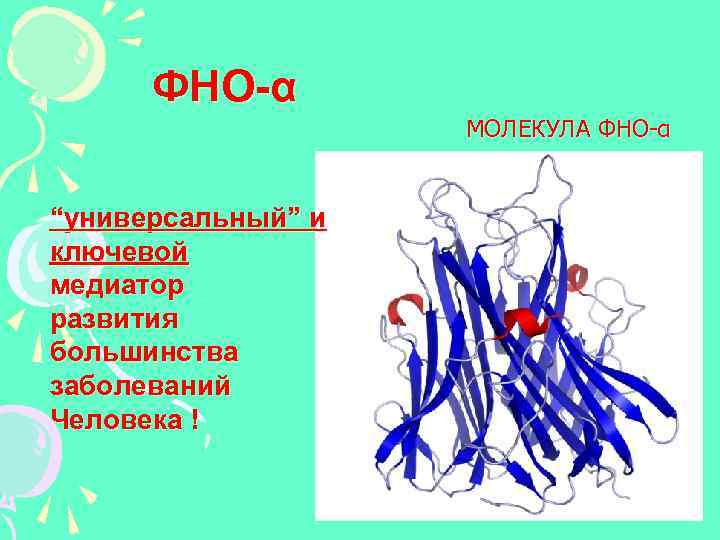 ФНО-α МОЛЕКУЛА ФНО-α “универсальный” и ключевой медиатор развития большинства заболеваний Человека ! 