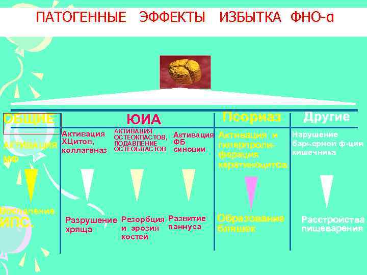 ПАТОГЕННЫЕ ЭФФЕКТЫ ИЗБЫТКА ФНО-α Псориаз ЮИА ОБЩИЕ Активация АКТИВАЦИЯ ХЦитов, коллагеназ АКТИВАЦИЯ ОСТЕОКЛАСТОВ, ПОДАВЛЕНИЕ