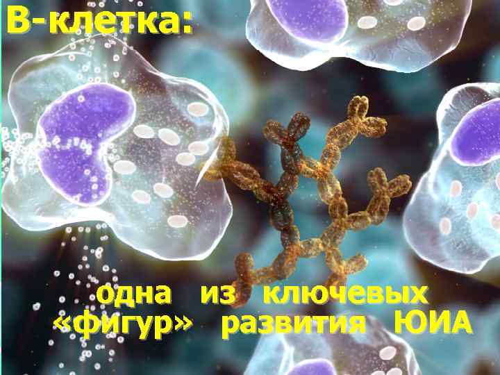 В-клетка: одна из ключевых «фигур» развития ЮИА 