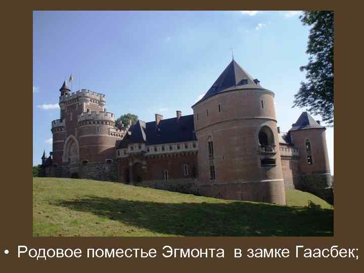  • Родовое поместье Эгмонта в замке Гаасбек; 