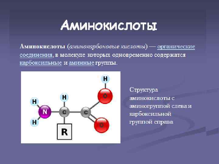 Аминокислоты поурочный план