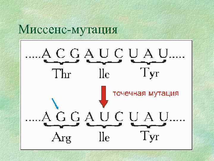 Миссенс-мутация 