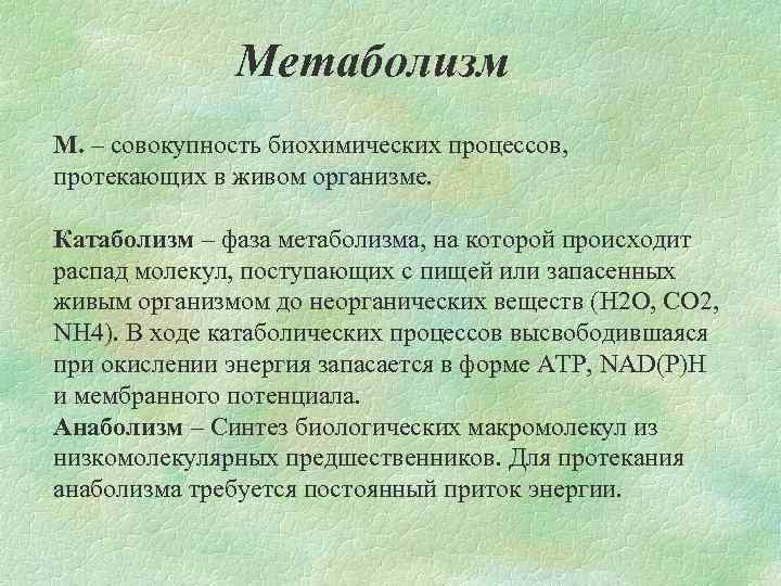 Метаболизм М. – совокупность биохимических процессов, протекающих в живом организме. Катаболизм – фаза метаболизма,