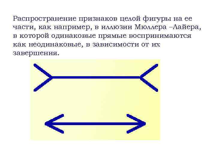 Распространение признаков целой фигуры на ее части, как например, в иллюзии Мюллера –Лайера, в
