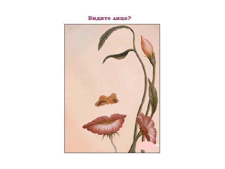 Видите лицо? 