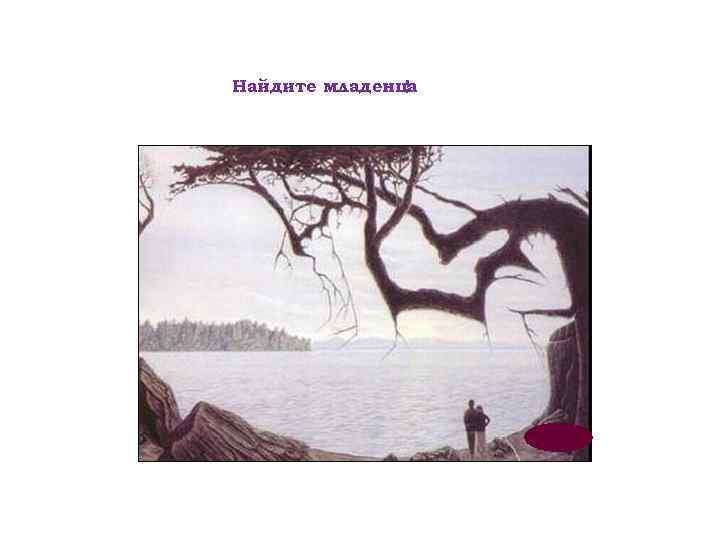 Найдите младенца ! 