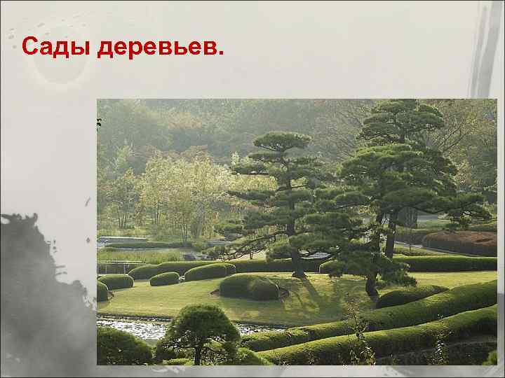 Сады деревьев. 