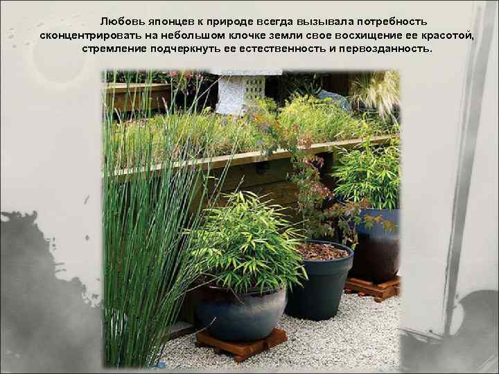 Любовь японцев к природе всегда вызывала потребность сконцентрировать на небольшом клочке земли свое восхищение
