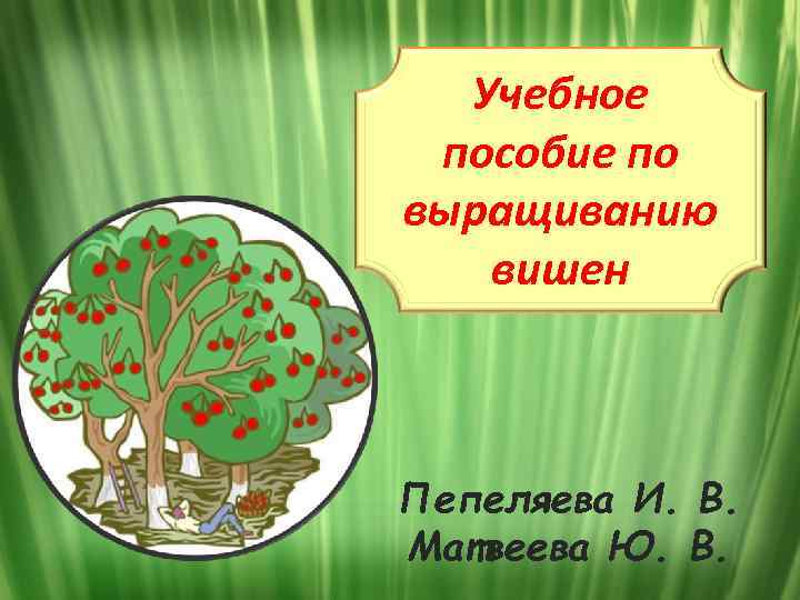 Учебное пособие по выращиванию вишен Пепеляева И. В. Матвеева Ю. В. 