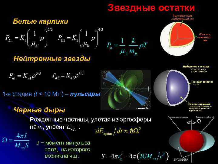 Звездные остатки Белые карлики Нейтронные звезды 1 -я стадия (t < 10 Мг )