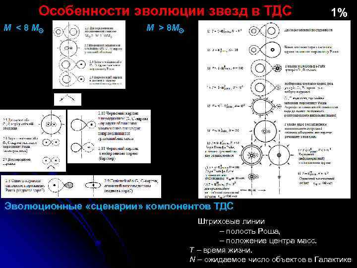 Особенности эволюции звезд в ТДС М < 8 М 1% М > 8 М